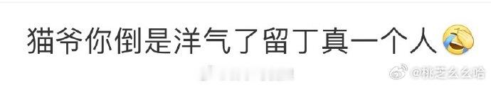 猫爷你倒是洋气了留丁真一个人这场游戏里被做局的只有丁真…谁懂刷到猫爷领着超模走秀