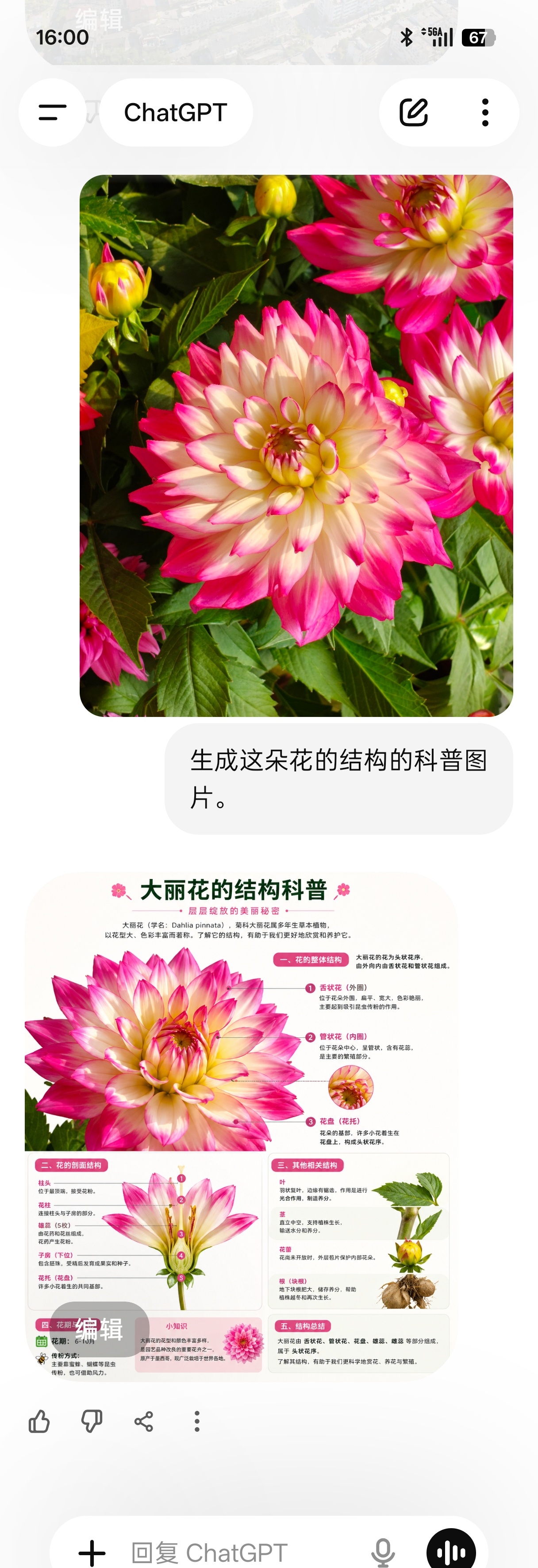 让它干啥就干啥，还真能让我满意。如果分辨率能达到4K就更好了。 