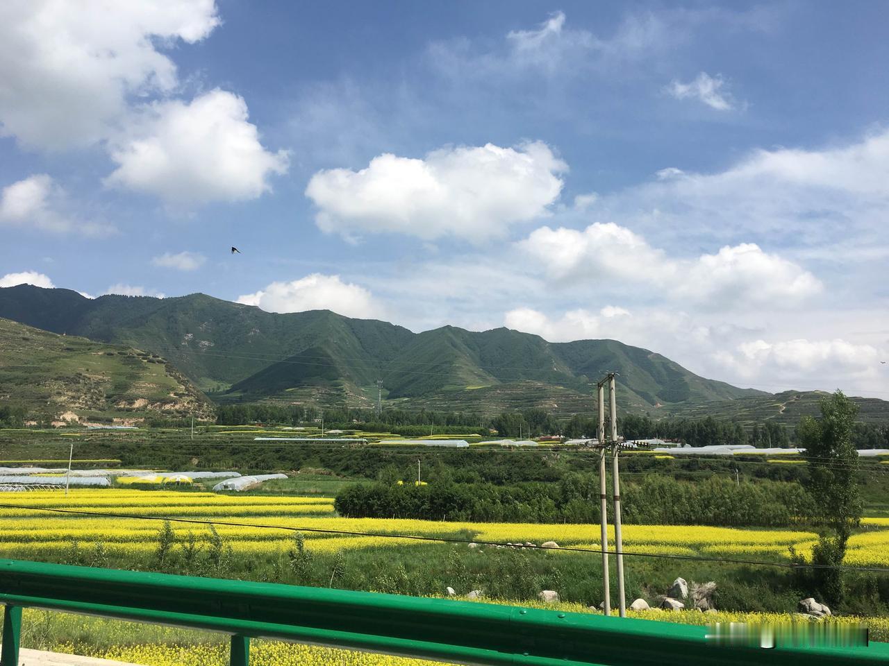 晒图笔记大赛