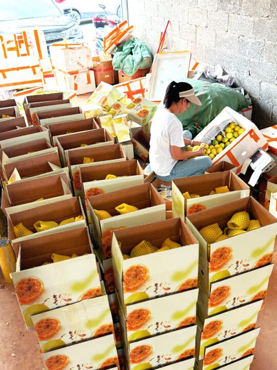 应粉丝要求试吃福利款，再上300单！