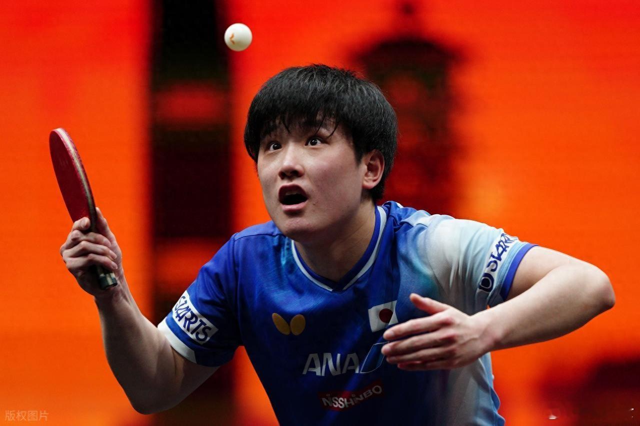 张本智和vs莫雷加德 12月14日晚间，2025年世界乒联WTT总决赛进行压轴大