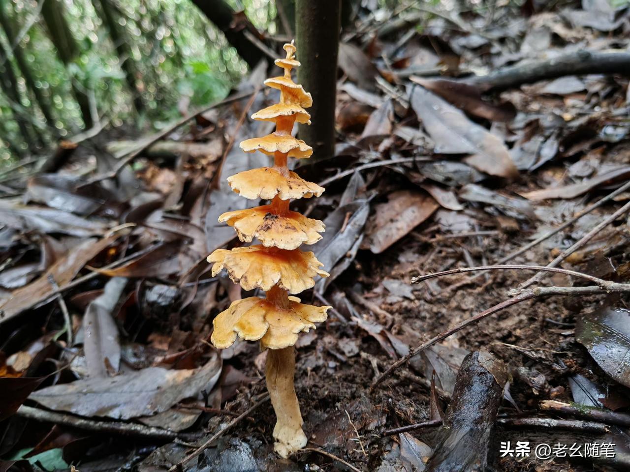 人到了一定年纪，根本不喜欢去夜场，我是其中之一。
刚毕业那几年，一个月怎么都要去