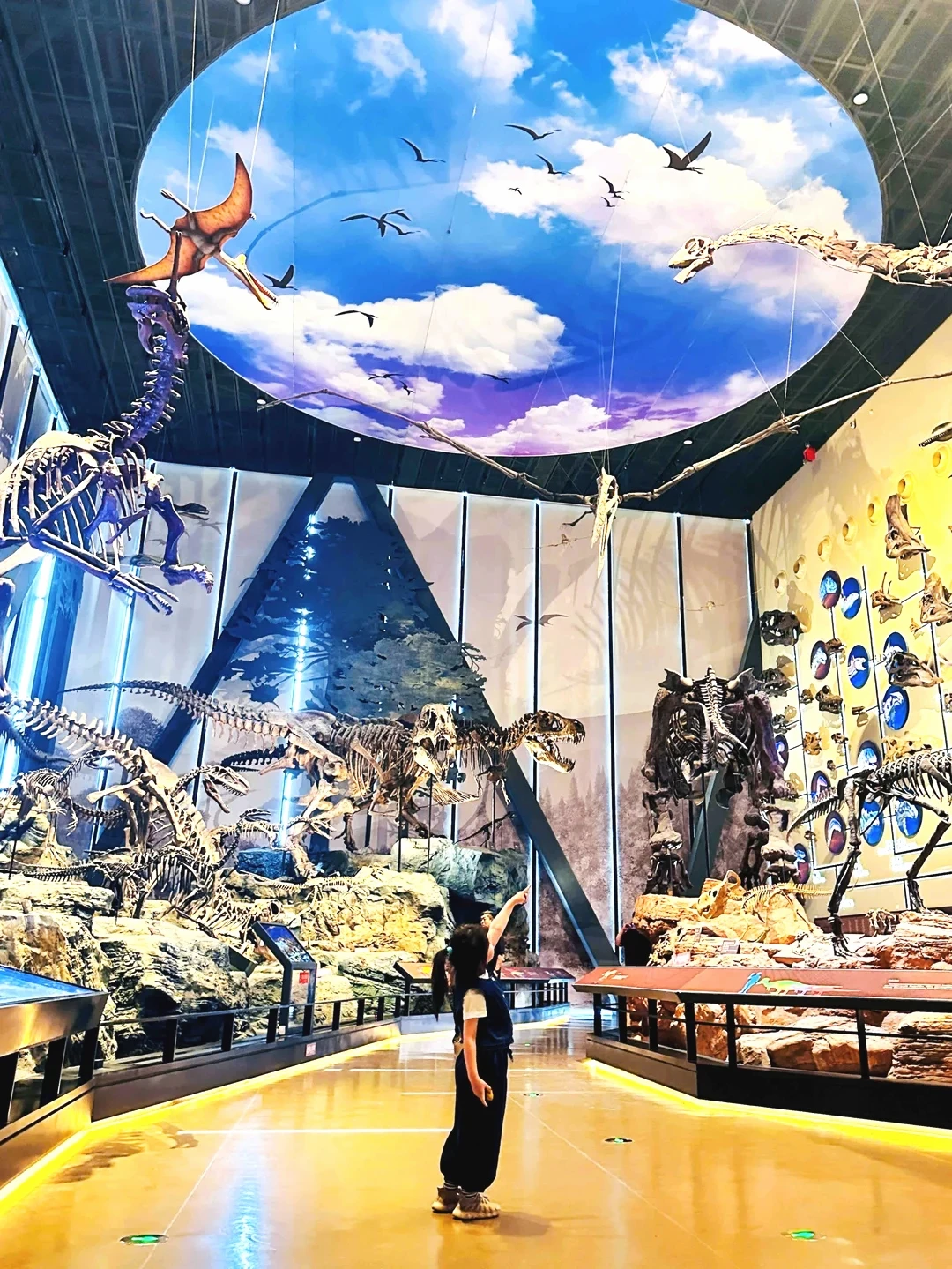 太震撼了🦖娃在亚洲最大的博物馆citywalk