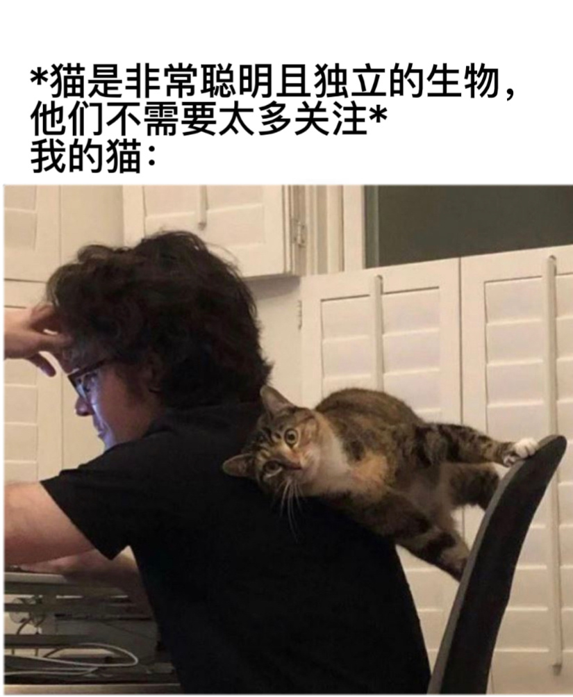 贴贴#今日memes# //#我的幽默搭子# //#定格# ​​​