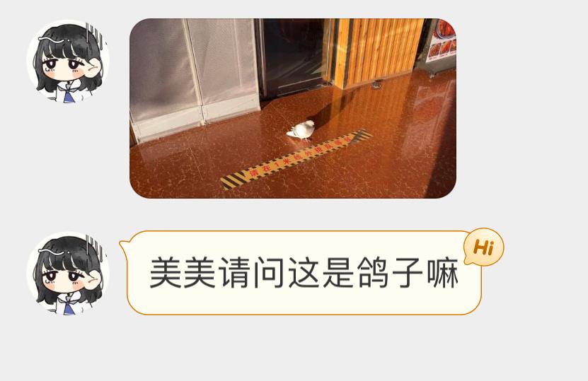 会排队的咕咕 ​​​