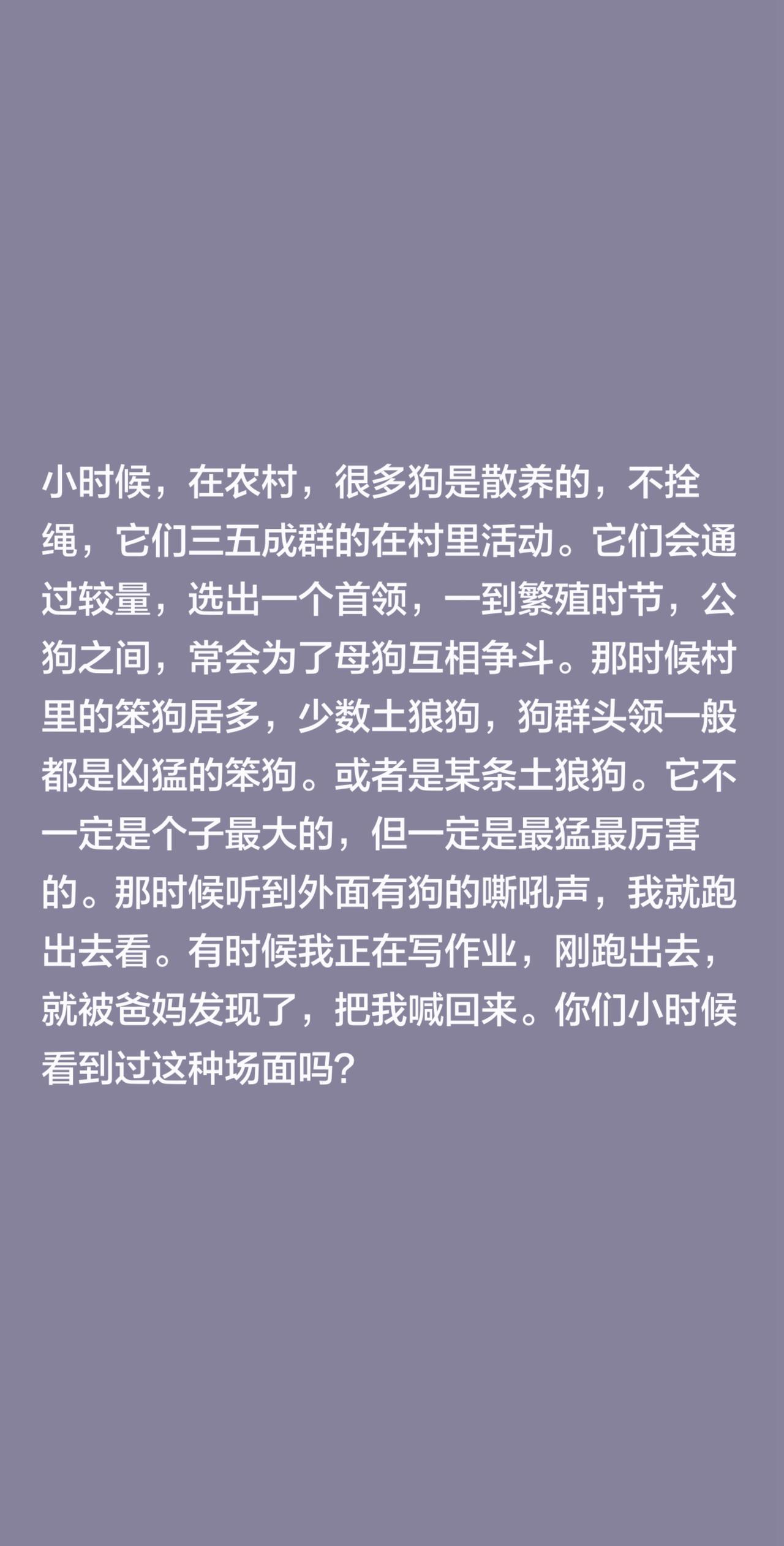 小时候，在农村，很多狗是散养的，不拴绳，它们三五成群的在村里活动。它们会通过较量
