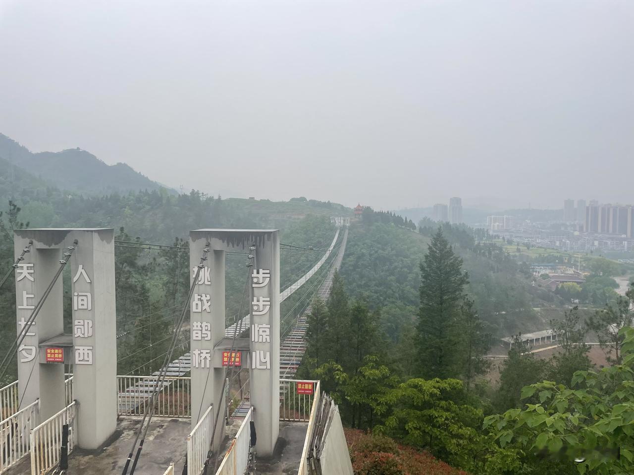 【鹧鸪天•茂密幽林见野花】
茂密幽林见野花，清清涧水浣流沙。
一只大雁鸣山顶，几
