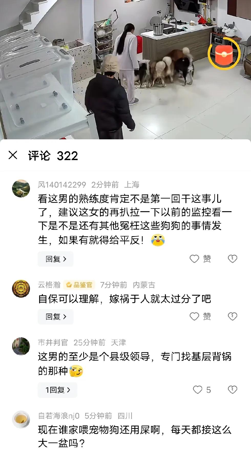 这种人的错误，嫁祸给狗，真的很快乐吗？这种视频在教人，要懂得嫁祸别人，那样才叫聪