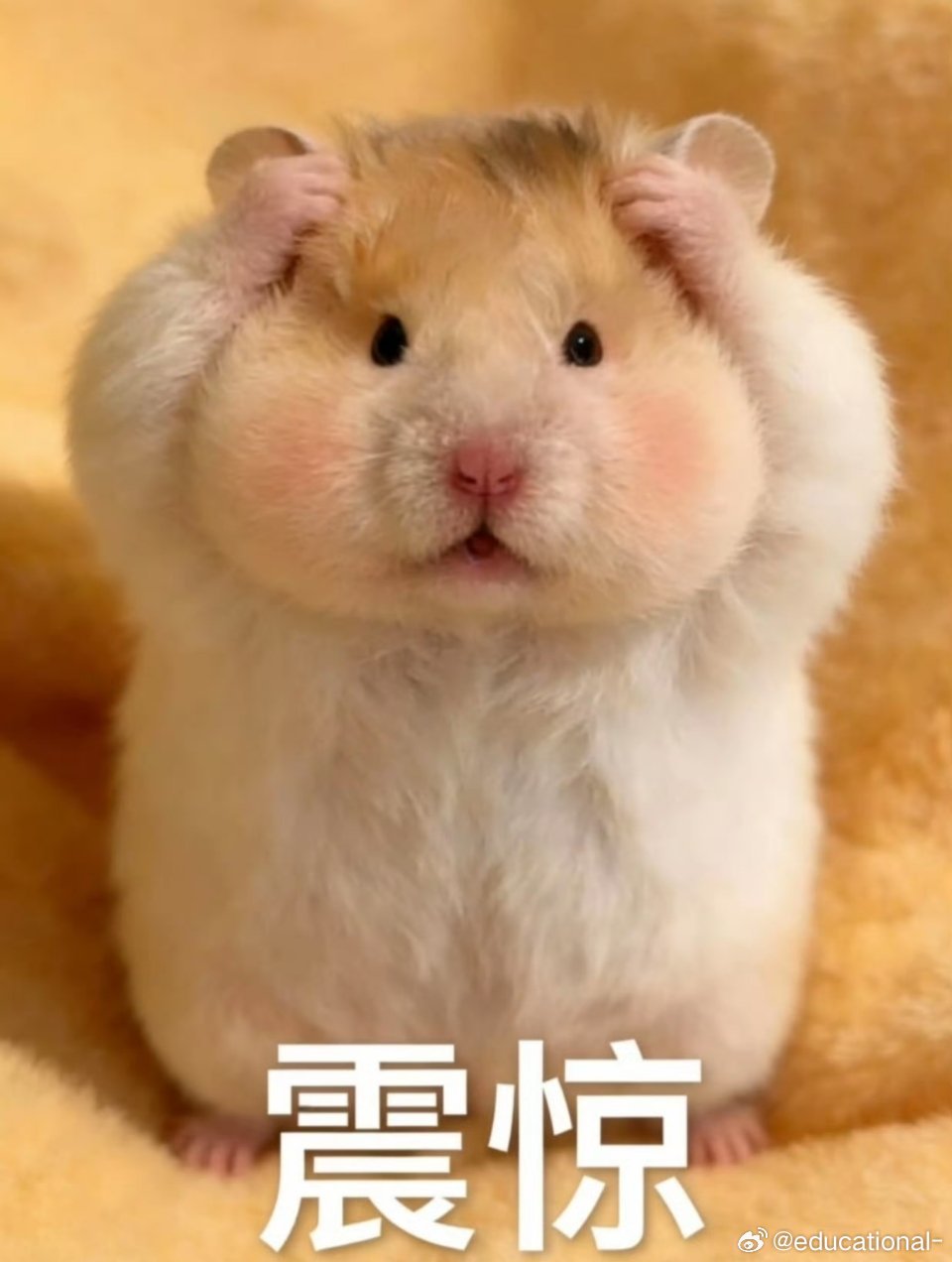 大学生生活费才3000看到这个热搜，现在都这么浮夸吗？才？才？才？ ​​​