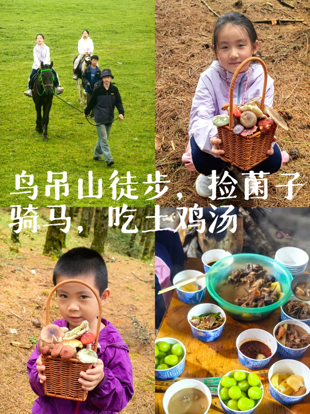 鸟吊山徒步：捡菌子，骑马，吃土鸡汤