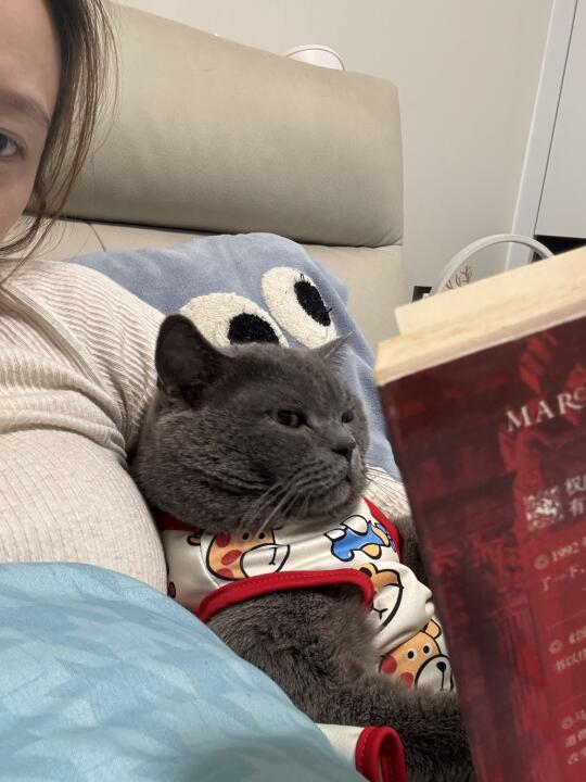 假期正是弯道超车的好时候📖