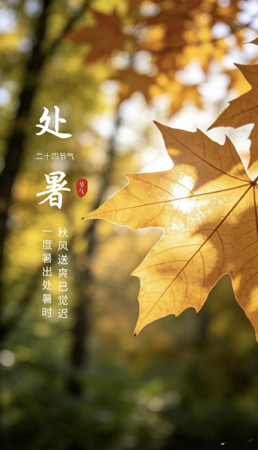 “不怕秋老虎，就怕早处暑”，明天处暑，“早处暑”到底有啥说法？
 
8月23日上