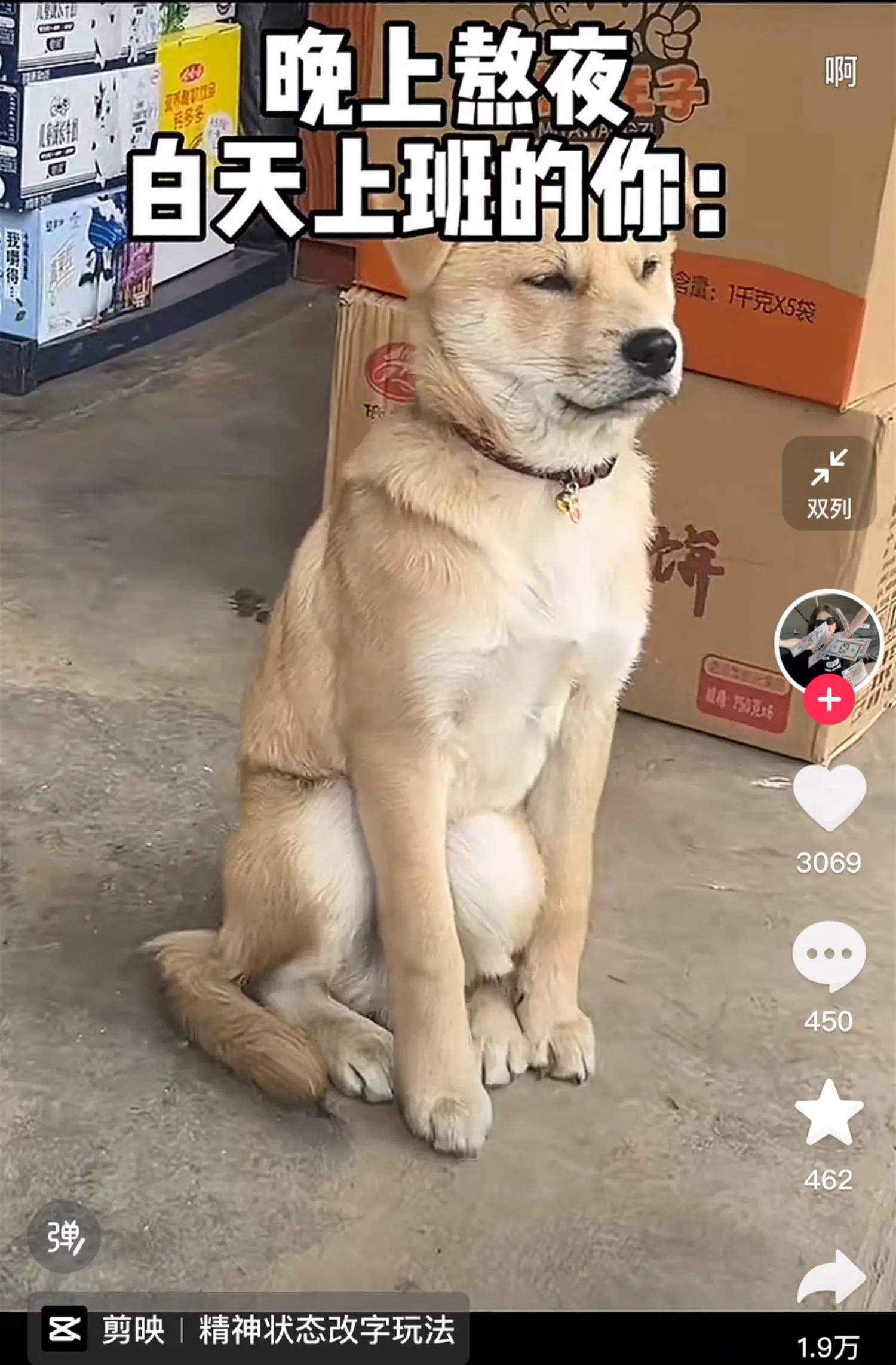 最近好多盗我视频的，真的生气😡