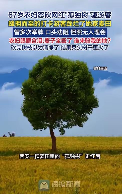 城里人嘴里的“治愈打卡”，在梁婶眼里就是“砸锅抢饭”。为了拍张松弛感大片，他们硬