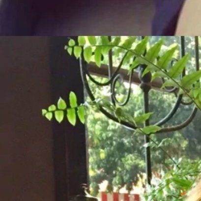 阳光信用 每一处风景都是生命的驿站，用乐观的心看待万物，心则如山花般烂漫。 知足