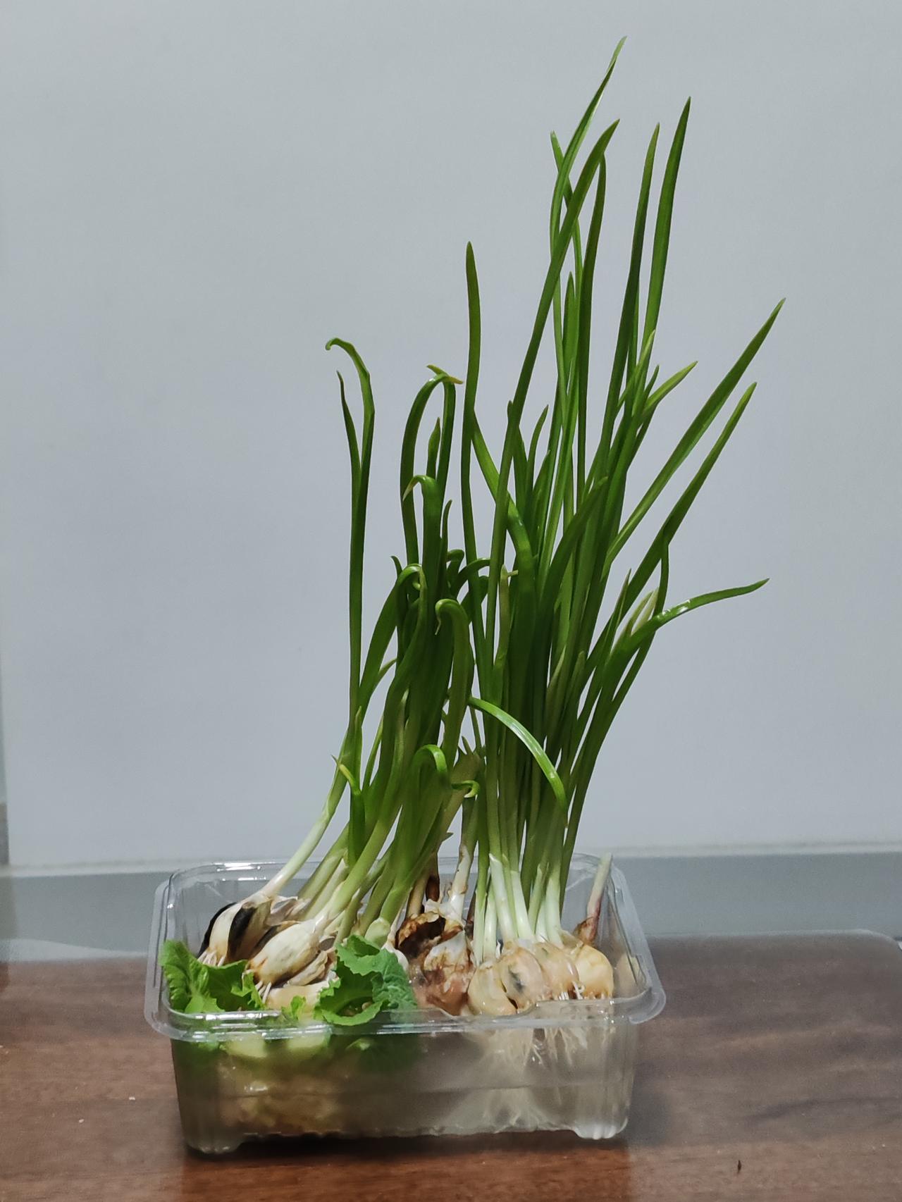 鸟无医而自治，兽无医而自疗。人类固然要信赖科学，要信任医疗技术，要信服健康知识，