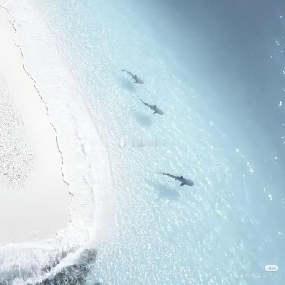 头像加背景超好看 分享一下