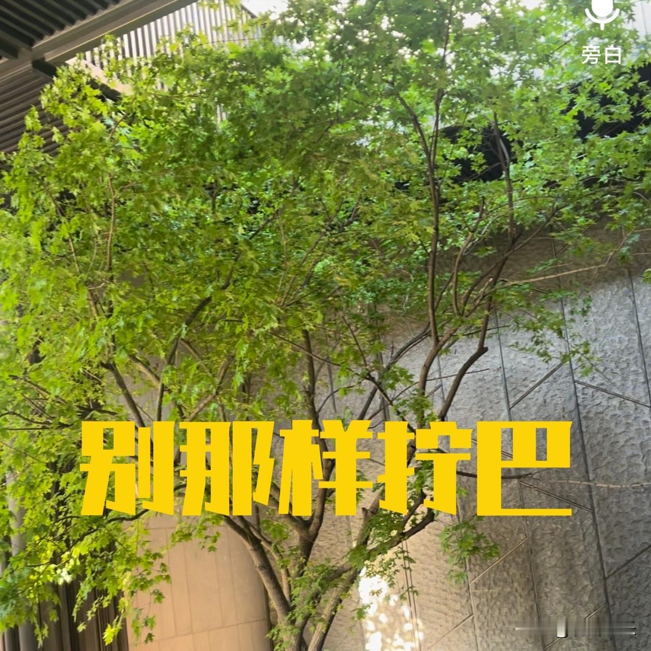 董璇怎么了？
既然决定与人家结婚，
为什么不正常生活？

结婚了同住一起再正常不