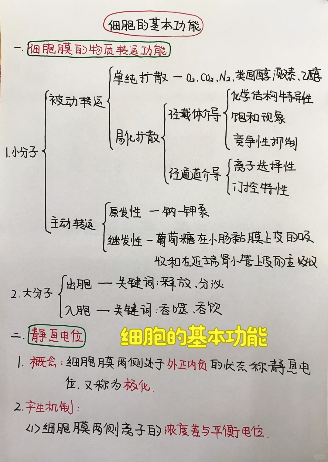 今日学习打卡——生理学:细胞的基本功能