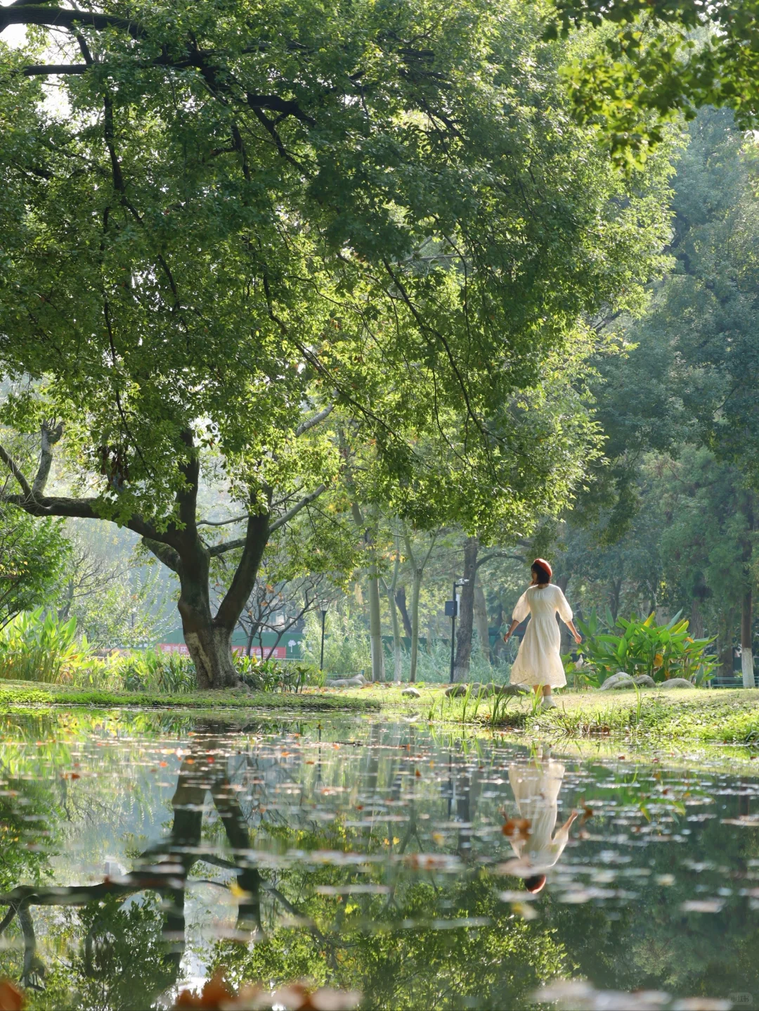 武汉这里秋天直接封神❗️去10000次都不够