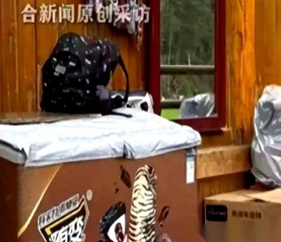 九寨沟这事，真是开了眼了。一个女游客在路边看见一面镜子，顺手拢了拢头发。就这一下