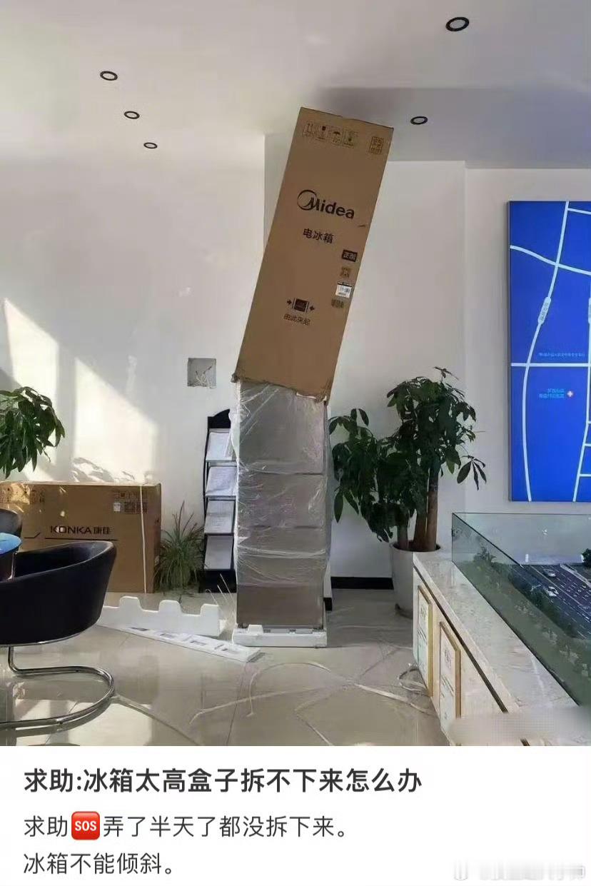 哈哈哈哈哈哈哈哈哈哈笑不活了 ​​​