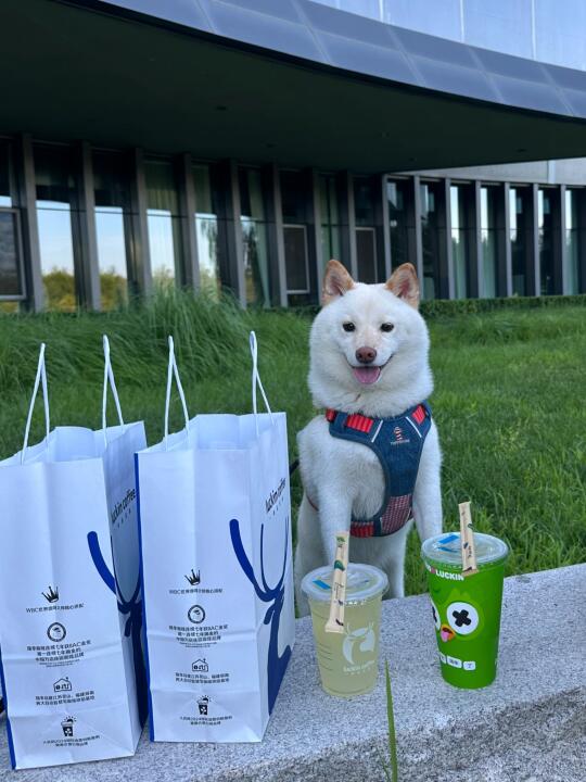 客人瑞一下吗☕️