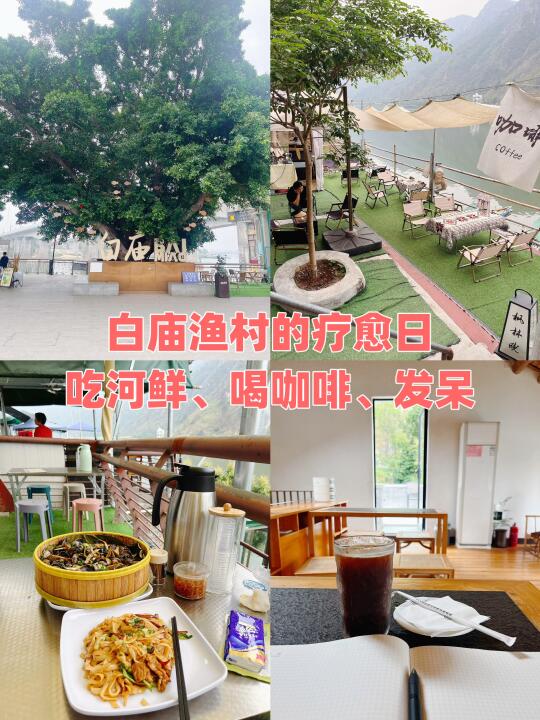 从北京到广东的躺平生活30:白庙渔村疗愈日