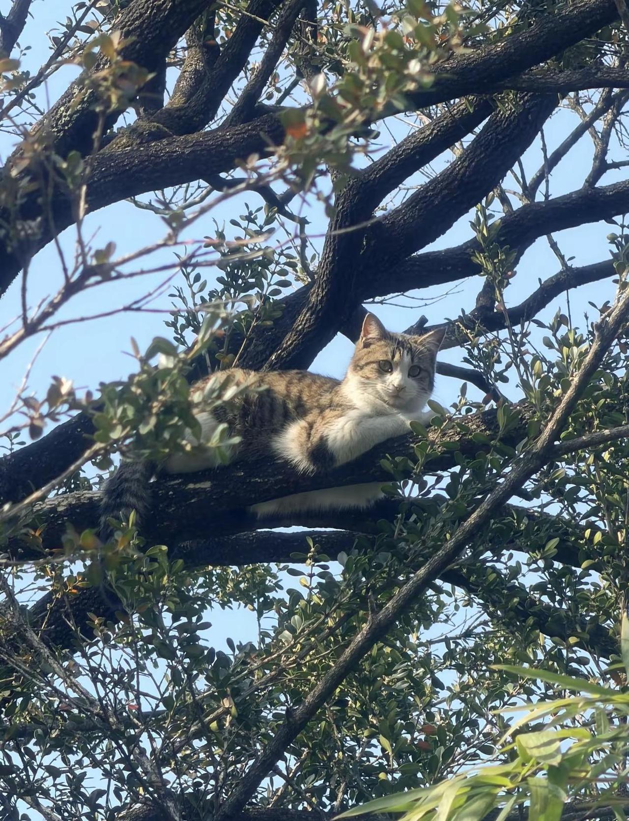 在苏州几天让我看到～行为慢一点、声音小一点，事情一样能达到预期，不急不躁，放过他