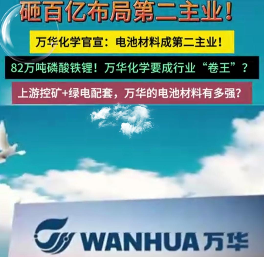 MDI全球老大开始押注电池材料！年产出82万吨磷酸铁锂，钠电也突破了！

MDI