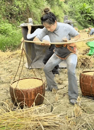 1 女人顶起半边天，这话说得好啊！[震惊]
2 小时候遍地可见，现在一株难寻。