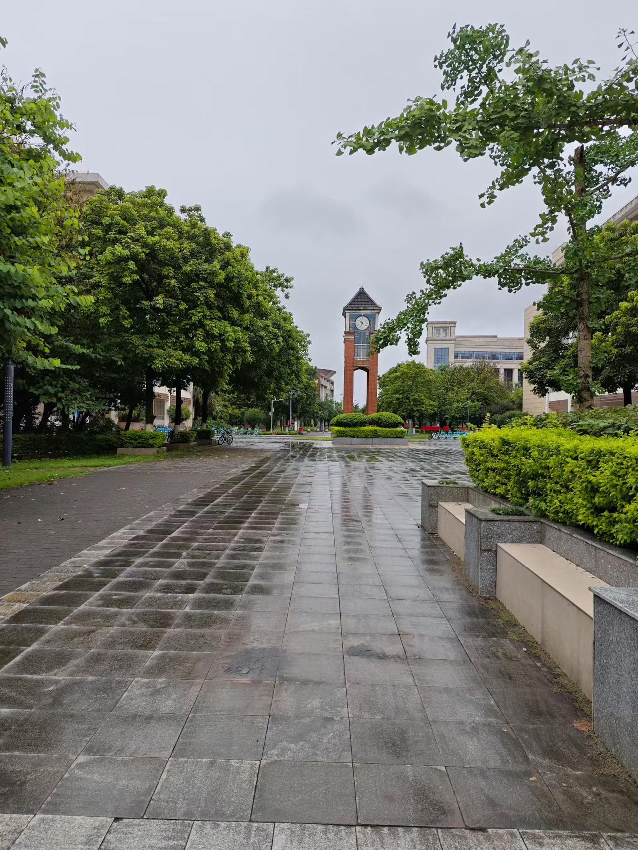 禁摩限电，重启公交车，有谁能想到，并非摩托车抢了公交车的客源，而是滴滴车和共享交