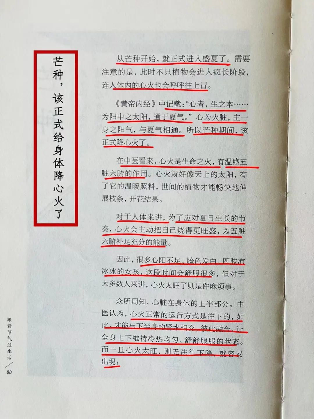 芒种来了，该给自己降降心火啦