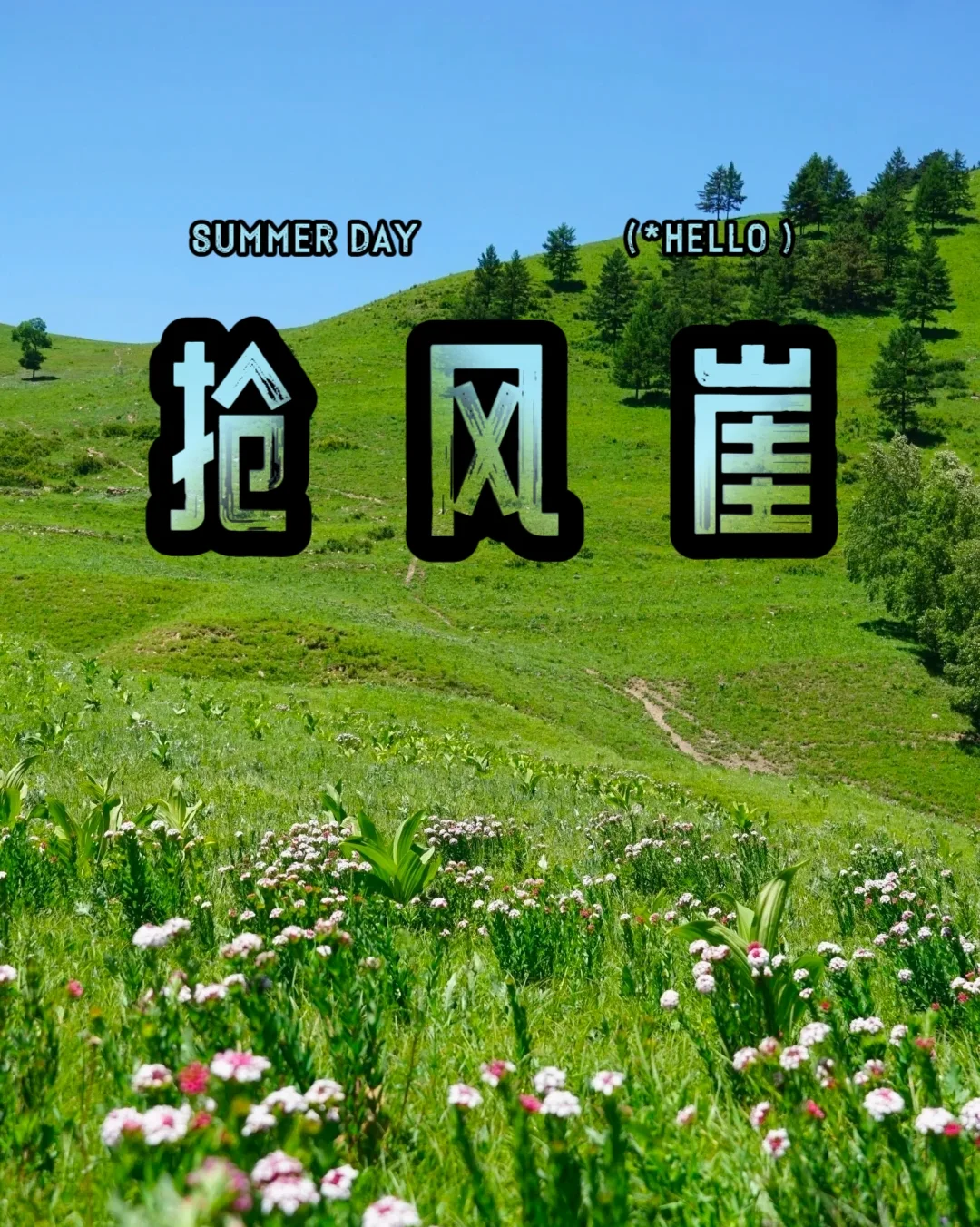 蔚县抢风崖徒步｜闯进夏日高山草甸花海🌿 风车、漫坡野花、辽阔山脊，人...