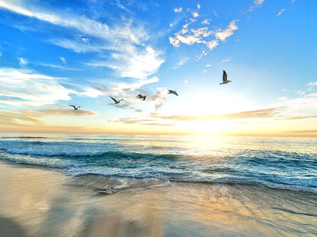 50岁的老张怎么也没想到，天天算着房贷还差20万、孩子学费要15万，自己先住进了