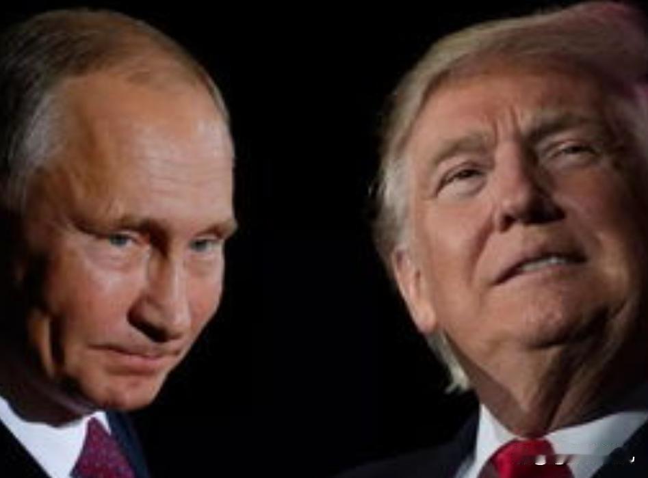 泽连斯基：如果提供“安全保障”，愿进行“总统选举”，西方集体沉默，没想到普京站了