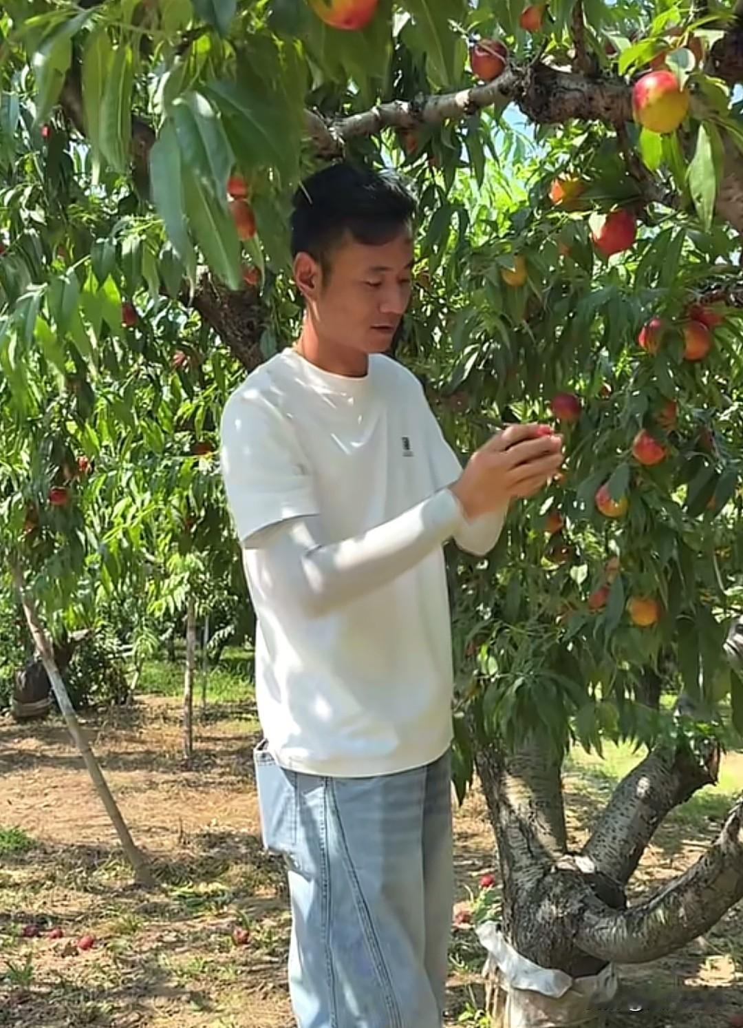厉老二和林丽的婚姻闹剧现在告一段落，双方都开启了直播带货。
        林丽