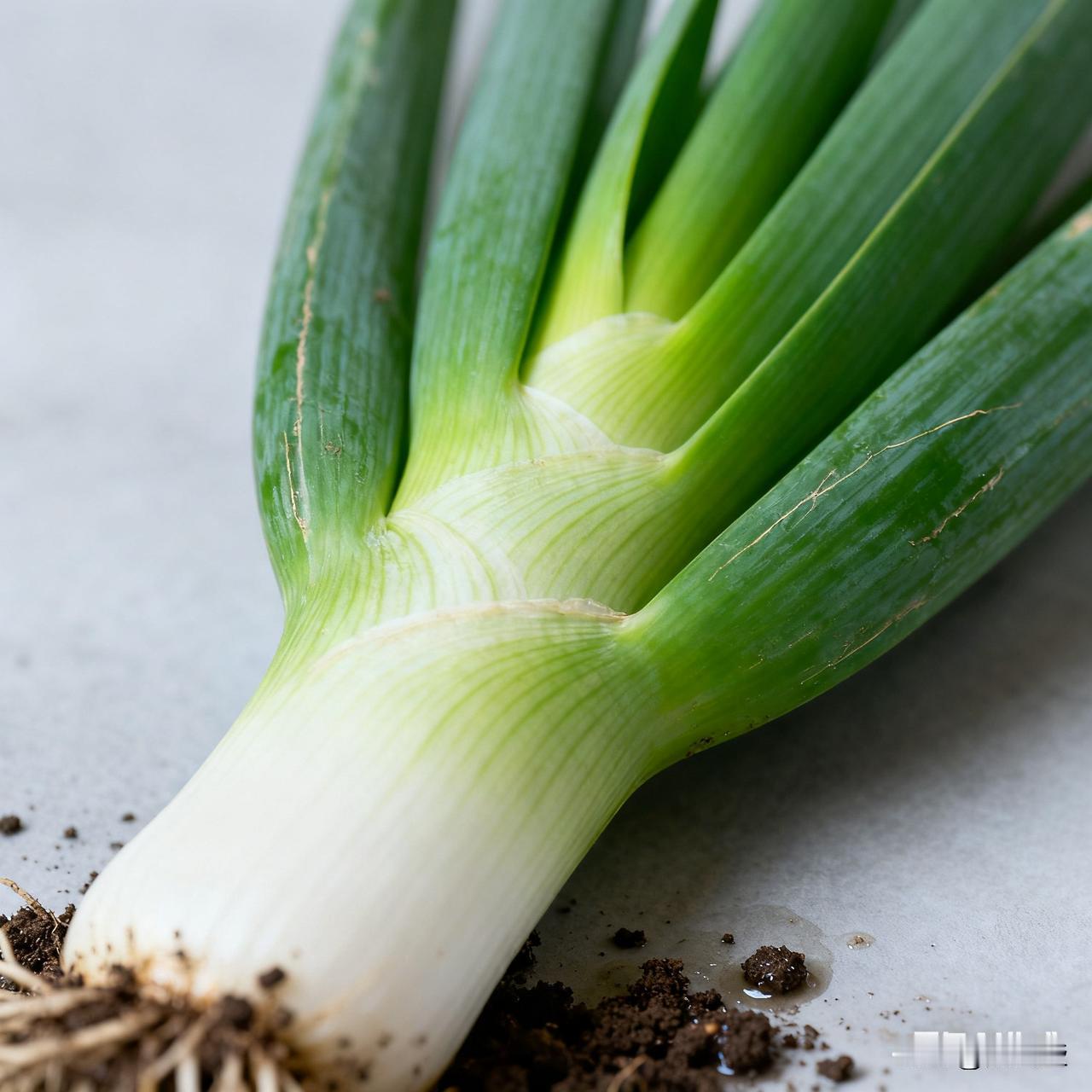 冬日生活打卡季 网上花13元买大葱，到手发现缺斤少两，找商家补货，居然让我出快递