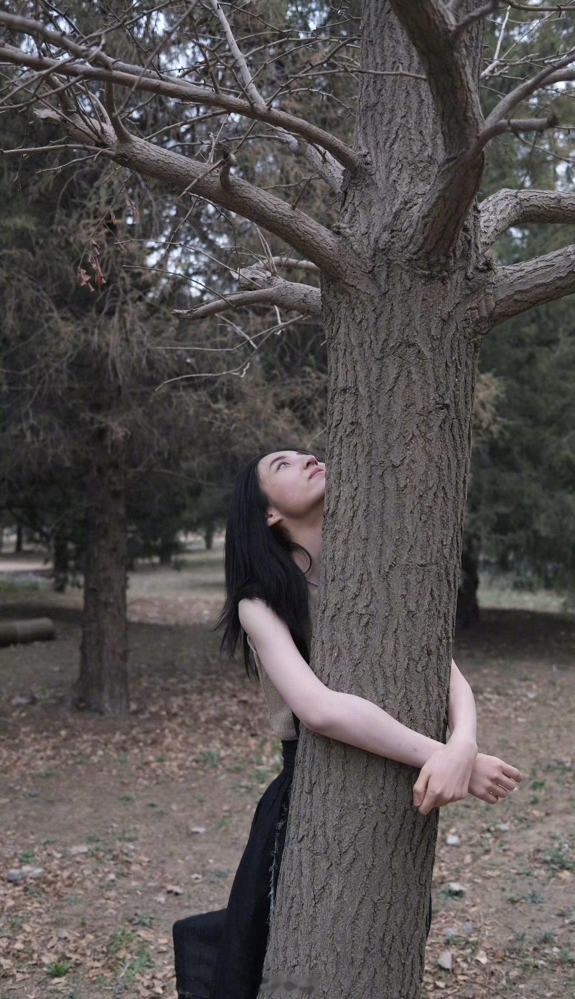 大彬子心甘情愿活成一棵植物，大彬子愿意活成一棵树，站成永恒，大彬子愿意，大彬子甘