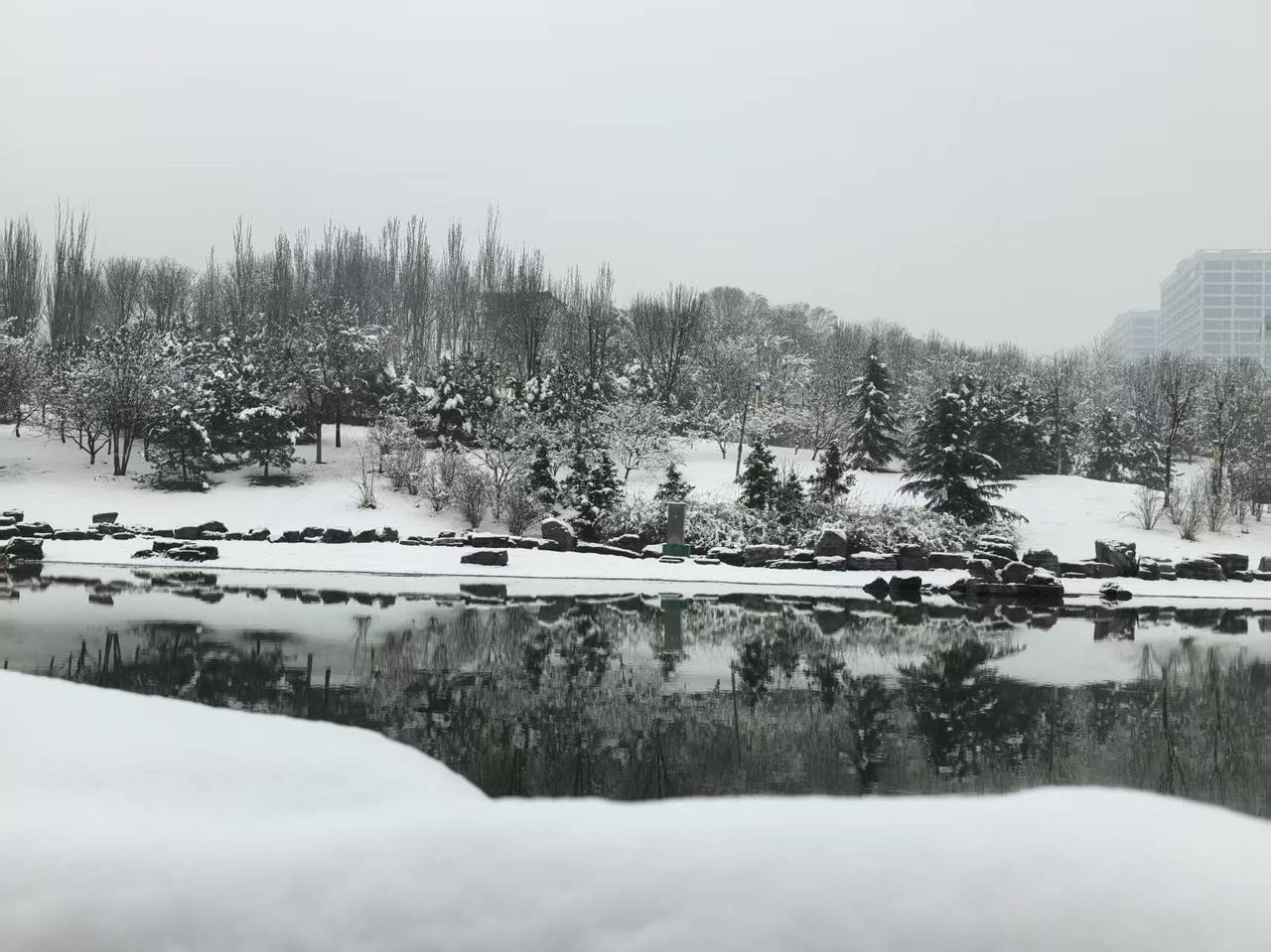 前天的雪景，美丽无比！朋友拍摄自石家庄东滹沱河畔。
