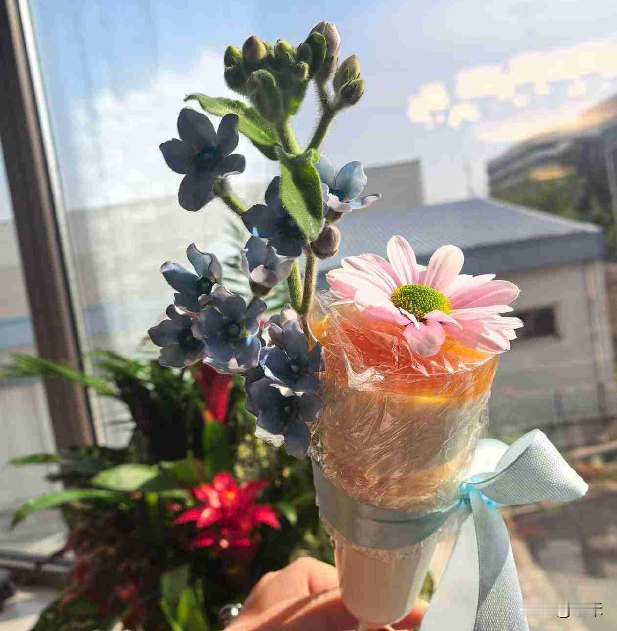 我的今日状态：😁轻松愉快
我这里的天气：☀️晴天
今天也特别热，就在家里呆着，