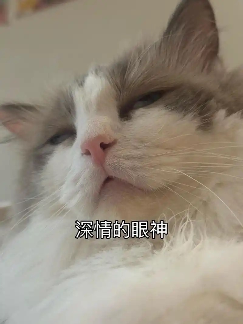 感觉全世界所有的苦逼都集中到长佩爱而不得口是心非午夜梦回拧巴酸涩悲伤逆流成河下一