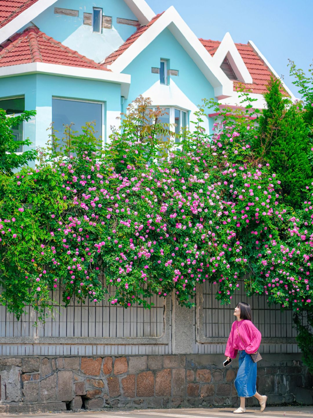 为了这1️⃣8️⃣张图，也要春天飞一趟青岛🌸‼️