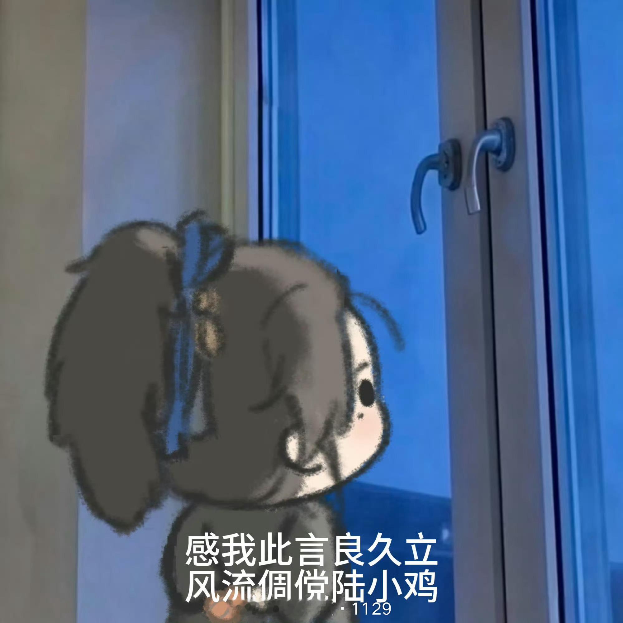 真的很想知道小凤衣橱里的四五十套衣服，剩下的未公开的衣服，风格是什么样子的真的一