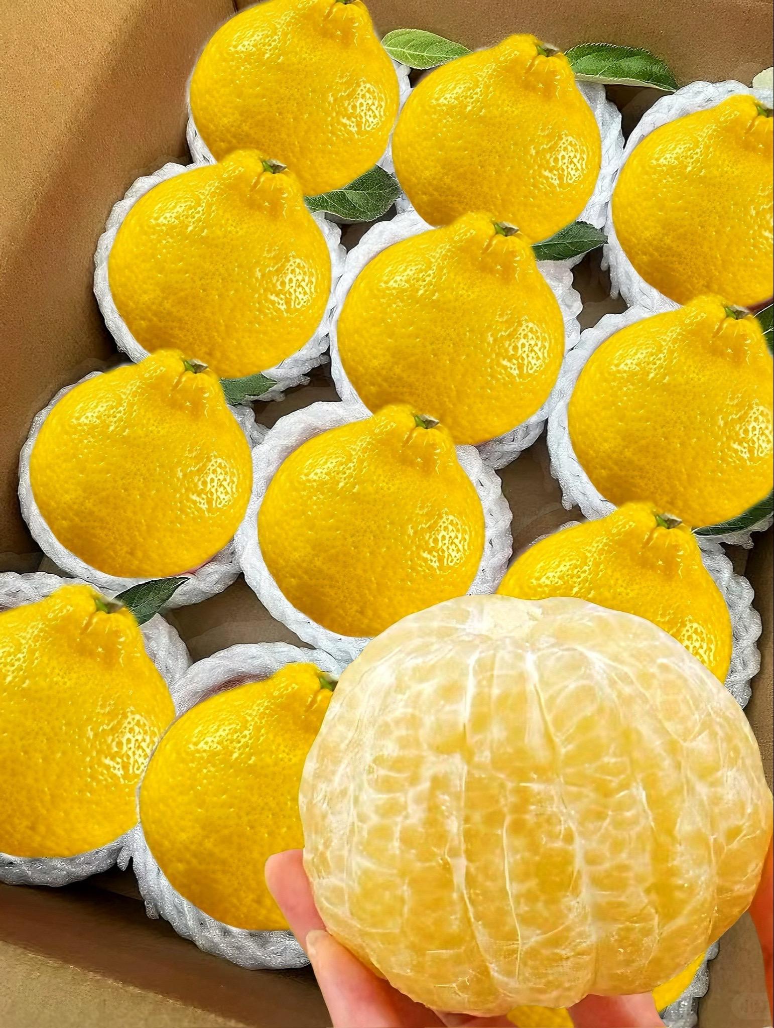 我发现了一款宝藏水果啦！快来尝尝鲜哟！就是这个象山青柑橘！！ 真的太太...