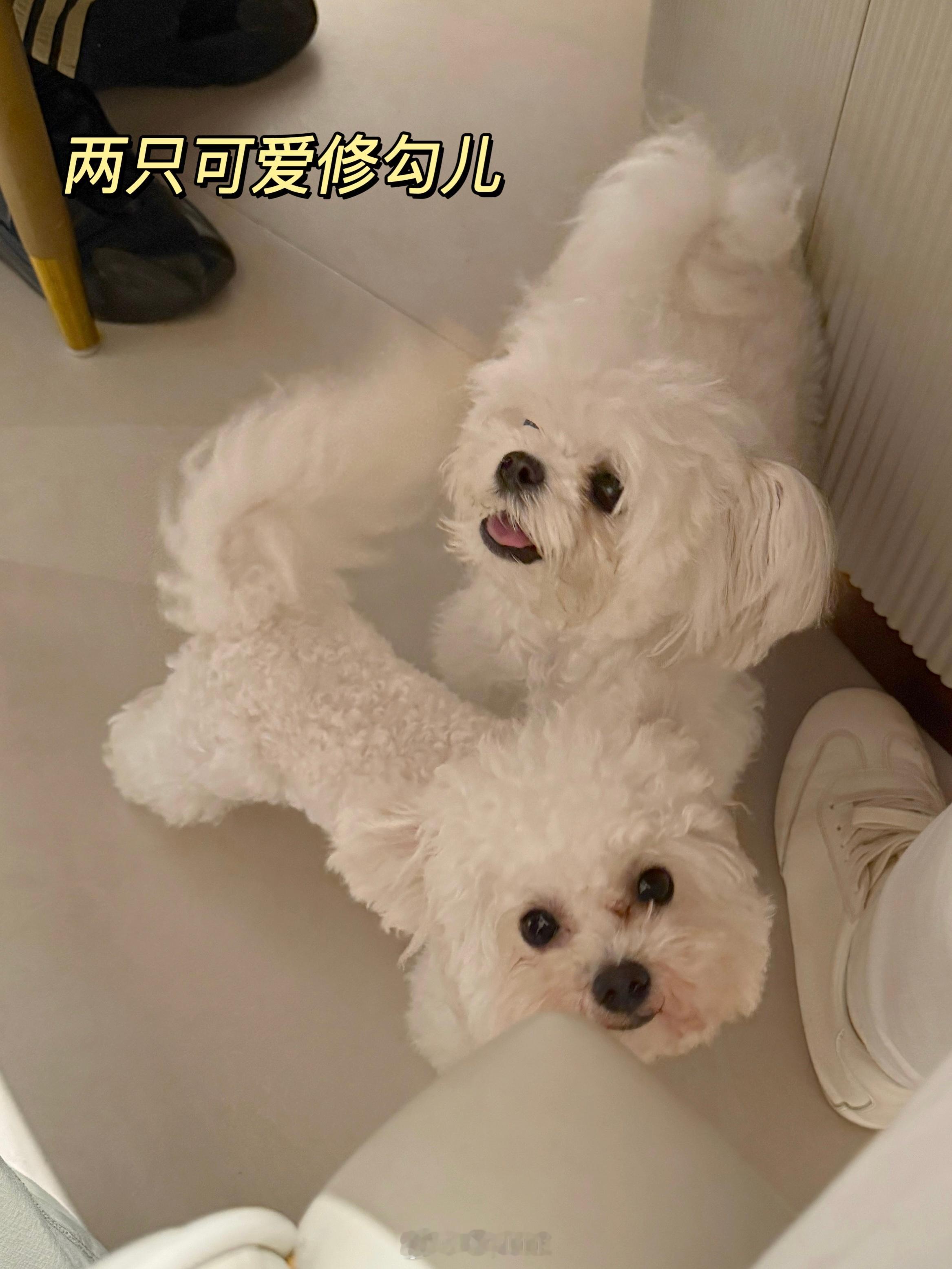 和毛哥还有朋友们过了一个超幸福的周末[送花花]日常[超话] ​​​
