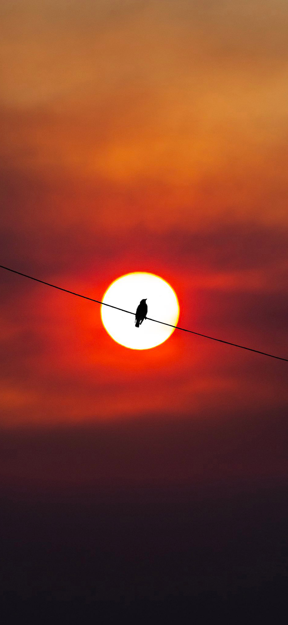 今日 iPhone 壁纸分享 