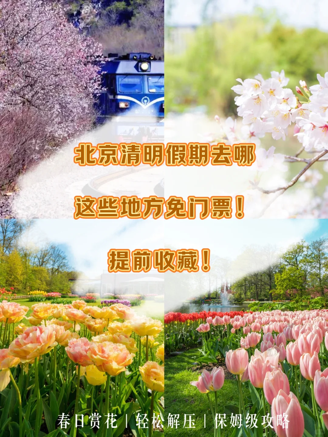 免门票🔥北京周末赏花🌸 城市大型花展❗️