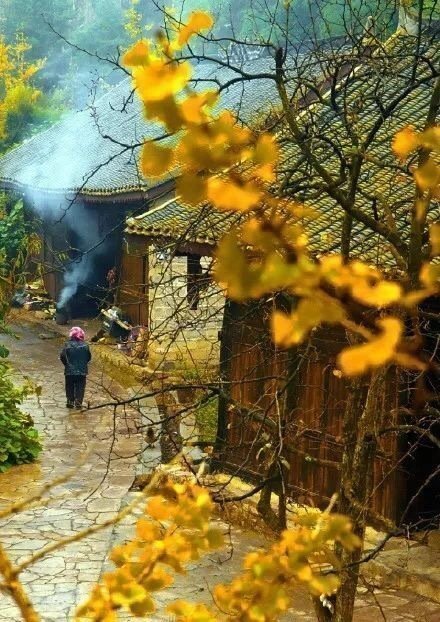 深秋的贵州·加榜梯田，美到人的心坎儿里！ ​​​