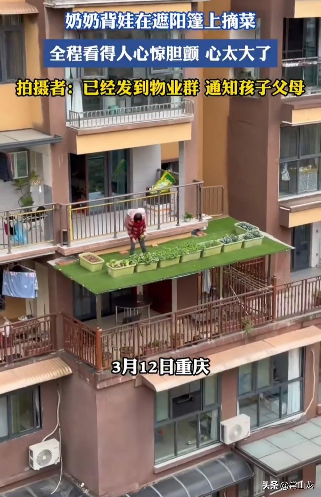 奶奶用背箩背着襁褓中的孙子，站在3楼阳台的顶棚上摘菜，这是对面邻居无意中拍下来的